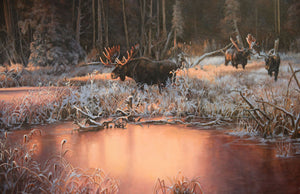 Tableau original de Monique Benoit peintre animalière,naturaliste, huile sur toile, scène de la faune canadienne, galerie d’art, Centre Monique et Gisèle Benoit, Sainte-Anne-des-Monts, Gaspésie, art animalier, musée, exposition, peintures, cadres. Orignaux, cervidés, scène d'automne, paysage.