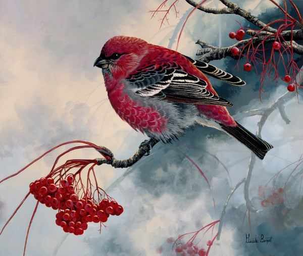 Photolithographie, reproduction de qualité de l’œuvre originale de Monique Benoit peintre animalière et naturaliste, galerie d’art, Centre Monique et Gisèle Benoit, Sainte-Anne-des-Monts, Gaspésie, art animalier, musée, exposition, peintures, cadres. Durbec des sapins, oiseaux, scène d'hiver.