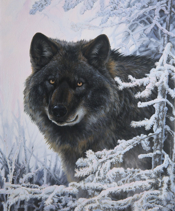 Giclée sur toile, reproduction haut de gamme de l’œuvre originale de Gisèle Benoit peintre animalière et naturaliste, galerie d’art, Centre Monique et Gisèle Benoit, Sainte-Anne-des-Monts, Gaspésie, art animalier, musée, exposition, peintures, cadres. Loup gris, prédateur, scène d'hiver.