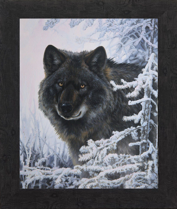 Giclée sur toile, reproduction haut de gamme de l’œuvre originale de Gisèle Benoit peintre animalière et naturaliste, galerie d’art, Centre Monique et Gisèle Benoit, Sainte-Anne-des-Monts, Gaspésie, art animalier, musée, exposition, peintures, cadres. Loups gris, prédateurs, scène d'hiver.