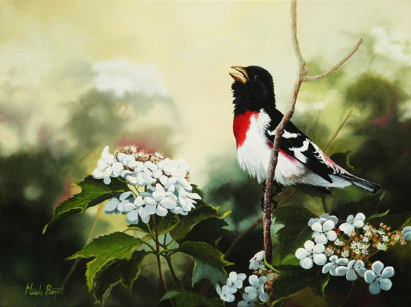 Carte de souhait sans texte, enveloppe incluse, collection de cartes des œuvres de Gisèle Benoit, peintre animalière et naturaliste, Centre d’art Monique et Gisèle Benoit, Sainte-Anne-des-Monts, Gaspésie, art animalier. Cardinal à poitrine rose, oiseau, fleurs, scène d'été.