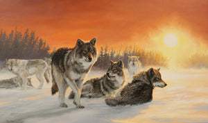 Carte de souhait sans texte, enveloppe incluse, collection de cartes des œuvres de Gisèle Benoit, peintre animalière et naturaliste, Centre d’art Monique et Gisèle Benoit, Sainte-Anne-des-Monts, Gaspésie, art animalier. Loups gris, prédateurs, scène d'hiver.