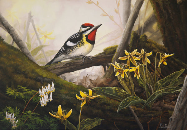 Carte de souhait sans texte, enveloppe incluse, collection de cartes des œuvres de Gisèle Benoit, peintre animalière et naturaliste, Centre d’art Monique et Gisèle Benoit, Sainte-Anne-des-Monts, Gaspésie, art animalier. Pic maculé, oiseau, fleurs sauvages, scène d'été.