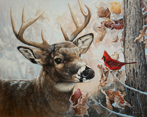 Giclée sur toile, reproduction haut de gamme de l’œuvre originale de Monique Benoit peintre animalière, naturaliste, galerie d’art, Centre Monique et Gisèle Benoit, Sainte-Anne-des-Monts, Gaspésie, art animalier, musée, exposition, peintures, cadres. Cerf de Virginie, cervidé, chevreuil, cardinal, oiseau, scène d'hiver.