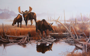 Tableau original de Monique Benoit peintre animalière,naturaliste, huile sur toile, scène de la faune canadienne, galerie d’art, Centre Monique et Gisèle Benoit, Sainte-Anne-des-Monts, Gaspésie, art animalier, musée, exposition, peintures, cadres. Orignaux, cervidés, scène d'automne, paysage.