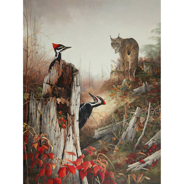 Tableau original de Monique Benoit peintre animalière et naturaliste, huile sur toile, scène de la faune canadienne, galerie d’art, Centre Monique et Gisèle Benoit, Sainte-Anne-des-Monts, Gaspésie, art animalier, musée, exposition, peintures, cadres. Grands pics, oiseaux, lynx, félin, prédateur, scène d'automne, paysage.