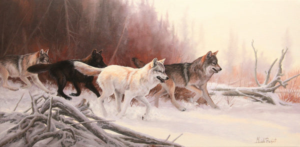 Tableau original de Gisèle Benoit peintre animalière et naturaliste, huile sur toile, scène de la faune canadienne, galerie d’art, Centre Monique et Gisèle Benoit, Sainte-Anne-des-Monts, Gaspésie, art animalier, musée, exposition, peintures, cadres. Loups gris, prédateurs, scène d'hiver.