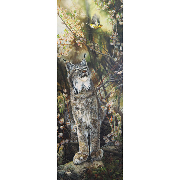 Giclée sur toile, reproduction haut de gamme de l’œuvre originale de Gisèle Benoit peintre animalière et naturaliste, galerie d’art, Centre Monique et Gisèle Benoit, Sainte-Anne-des-Monts, Gaspésie, art animalier, musée, exposition, peintures, cadres. Lynx, félin, prédateur, paruline tigrée, oiseau, scène de printemps.