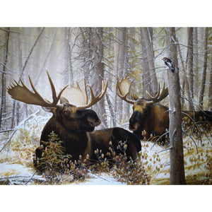 Carte de souhait sans texte, enveloppe incluse, collection de cartes des œuvres de Gisèle Benoit, peintre animalière et naturaliste, Centre d’art Monique et Gisèle Benoit, Sainte-Anne-des-Monts, Gaspésie, art animalier. Orignaux, pic mineur, scène d'hiver.