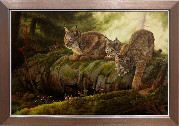 Giclée sur toile, reproduction haut de gamme de l’œuvre originale de Gisèle Benoit peintre animalière, naturaliste, galerie d’art, Centre Monique et Gisèle Benoit, Sainte-Anne-des-Monts, Gaspésie, art animalier, musée, exposition, peintures, cadres. Lynx du Canada, félins, prédateurs, fleurs sauvages, scène de printemps.