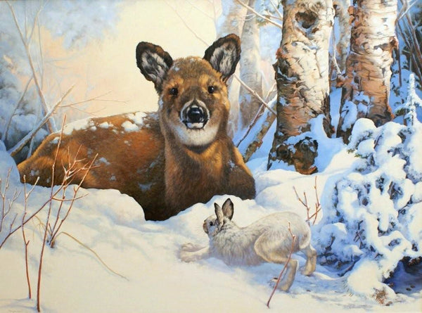 Tableau original de Monique Benoit peintre animalière et naturaliste, huile sur toile, scène de la faune canadienne, galerie d’art, Centre Monique et Gisèle Benoit, Sainte-Anne-des-Monts, Gaspésie, art animalier, musée, exposition, peintures, cadres. Cervidé, lièvre, scène de d'hiver.