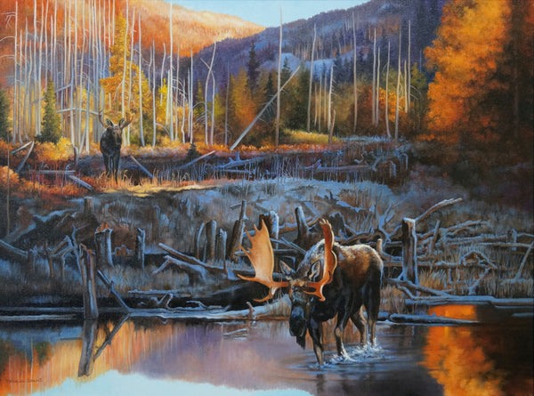 Impression sur alupanel, reproduction haut de gamme de l’œuvre originale de Monique Benoit peintre animalière et naturaliste, galerie d’art, Centre Monique et Gisèle Benoit, Sainte-Anne-des-Monts, Gaspésie, art animalier, musée, exposition, peintures, cadres.  Scène d'hiver, orignaux, cervidés.