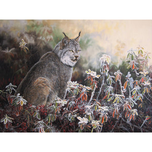 Carte de souhait sans texte, enveloppe incluse, collection de cartes des œuvres de Gisèle Benoit, peintre animalière et naturaliste, Centre d’art Monique et Gisèle Benoit, Sainte-Anne-des-Monts, Gaspésie, art animalier. Lynx du Canada, scène d'automne, félin, prédateur.