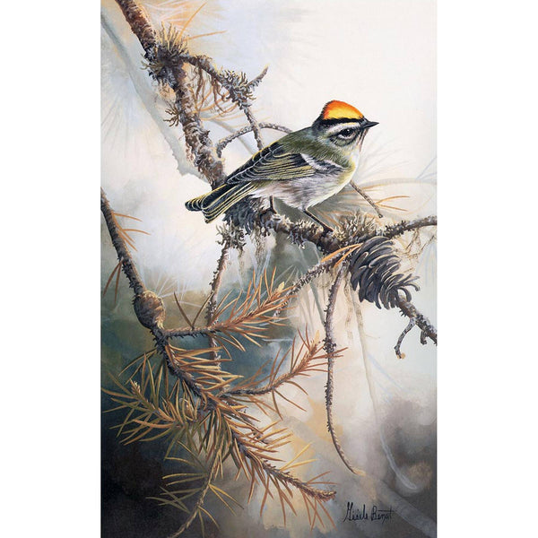Photolithographie, reproduction de qualité de l’œuvre originale de Gisèle Benoit peintre animalière et naturaliste, galerie d’art, Centre Monique et Gisèle Benoit, Sainte-Anne-des-Monts, Gaspésie, art animalier, musée, exposition, peintures, cadres. Roitelet à couronne dorée, oiseau, scène d'été.