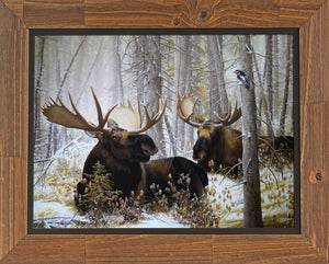 Giclée sur toile, reproduction haut de gamme de l’œuvre originale de Gisèle Benoit peintre animalière et naturaliste, galerie d’art, Centre Monique et Gisèle Benoit, Sainte-Anne-des-Monts, Gaspésie, art animalier, musée, exposition, peintures, cadres. Orignaux, cervidés, Pic mineur, oiseau, scène d'hiver.