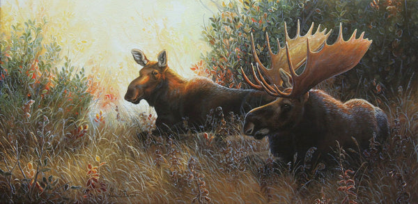 Impression sur alupanel, reproduction haut de gamme de l’œuvre originale de Gisèle Benoit peintre animalière et naturaliste, galerie d’art, Centre Monique et Gisèle Benoit, Sainte-Anne-des-Monts, Gaspésie, art animalier, musée, exposition, peintures, cadres. Orignaux, scène d'automne.