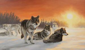 Tableau original de Gisèle Benoit peintre animalière et naturaliste, huile sur toile, scène de la faune canadienne, galerie d’art, Centre Monique et Gisèle Benoit, Sainte-Anne-des-Monts, Gaspésie, art animalier, musée, exposition, peintures, cadres. Loups gris, prédateurs, scène d'hiver, paysage.