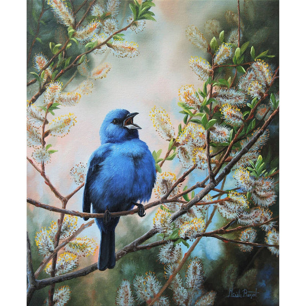 Impression sur alupanel, reproduction haut de gamme de l’œuvre originale de Gisèle Benoit peintre animalière et naturaliste, galerie d’art, Centre Monique et Gisèle Benoit, Sainte-Anne-des-Monts, Gaspésie, art animalier, musée, exposition, peintures, cadres. Oiseaux, scène de printemps.