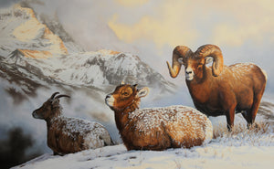 Tableau original de Gisèle Benoit peintre animalière,naturaliste, huile sur toile,  scène de la faune canadienne, galerie d’art, Centre Monique et Gisèle Benoit, Sainte-Anne-des-Monts, Gaspésie, art animalier, musée, exposition, peintures, cadres. Mouflons, scène d'hiver, scène d'automne, paysage des Rocheuses.