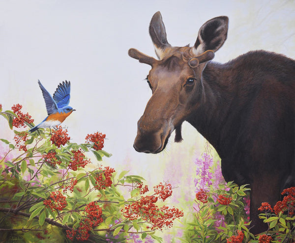 Giclée sur toile, reproduction haut de gamme de l’œuvre originale de Gisèle Benoit peintre animalière et naturaliste, galerie d’art, Centre Monique et Gisèle Benoit, Sainte-Anne-des-Monts, Gaspésie, art animalier, musée, exposition, peintures, cadres. Scène d'été, orignal, oiseaux, fleurs sauvages, cervidé.