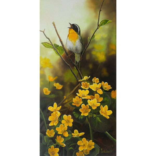 Impression sur alupanel, reproduction haut de gamme de l’œuvre originale de Gisèle Benoit peintre animalière et naturaliste, galerie d’art, Centre Monique et Gisèle Benoit, Sainte-Anne-des-Monts, Gaspésie, art animalier, musée, exposition, peintures, cadres. Oiseaux, Fleurs sauvages, scène d'été.