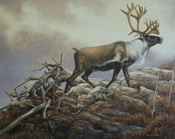 Impression sur alupanel, reproduction haut de gamme de l’œuvre originale de Monique Benoit peintre animalière et naturaliste, galerie d’art, Centre Monique et Gisèle Benoit, Sainte-Anne-des-Monts, Gaspésie, art animalier, musée, exposition, peintures, cadres. Cervidé, scène d'automne, caribou.