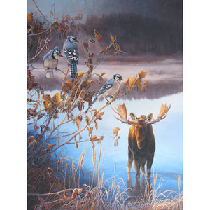 Impression sur alupanel, reproduction haut de gamme de l’œuvre originale de Gisèle Benoit peintre animalière et naturaliste, galerie d’art, Centre Monique et Gisèle Benoit, Sainte-Anne-des-Monts, Gaspésie, art animalier, musée, exposition, peintures, cadres. Cervidé, scène d'automne, orignal, oiseaux, jeais bleus.