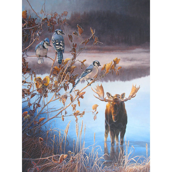 Impression sur alupanel, reproduction haut de gamme de l’œuvre originale de Gisèle Benoit peintre animalière et naturaliste, galerie d’art, Centre Monique et Gisèle Benoit, Sainte-Anne-des-Monts, Gaspésie, art animalier, musée, exposition, peintures, cadres. Cervidé, scène d'automne, orignal, oiseaux, jeais bleus.