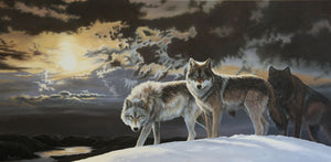 Impression sur alupanel, reproduction haut de gamme de l’œuvre originale de Gisèle Benoit peintre animalière et naturaliste, galerie d’art, Centre Monique et Gisèle Benoit, Sainte-Anne-des-Monts, Gaspésie, art animalier, musée, exposition, peintures, cadres. Loups gris, prédateurs, scène d'hiver.