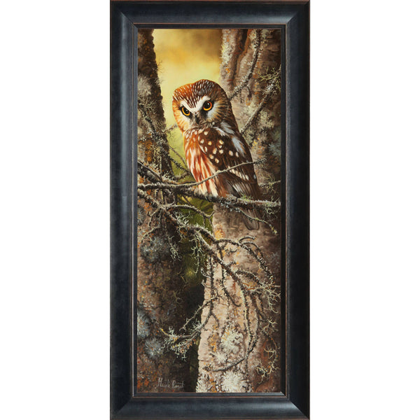 Au bois d'André – Petite nyctale