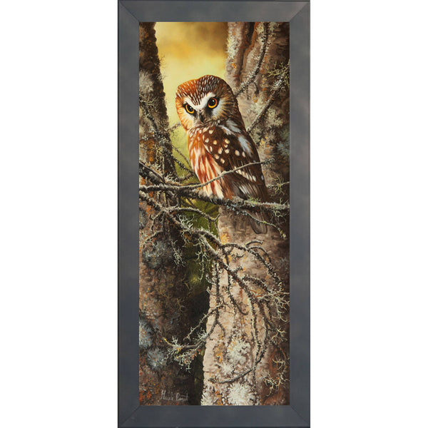 Au bois d'André – Petite nyctale