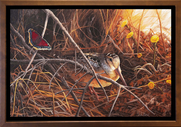 Giclée sur toile, reproduction haut de gamme de l’œuvre originale de Gisèle Benoit peintre animalière et naturaliste, galerie d’art, Centre Monique et Gisèle Benoit, Sainte-Anne-des-Monts, Gaspésie, art animalier, musée, exposition, peintures, cadres. Oiseau, scène de printemps, fleurs sauvages, papillon.