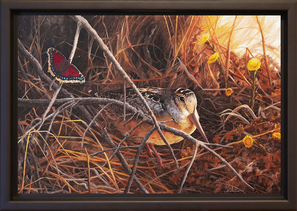 Giclée sur toile, reproduction haut de gamme de l’œuvre originale de Gisèle Benoit peintre animalière et naturaliste, galerie d’art, Centre Monique et Gisèle Benoit, Sainte-Anne-des-Monts, Gaspésie, art animalier, musée, exposition, peintures, cadres. Oiseau, scène de printemps, fleurs sauvages, papillon.