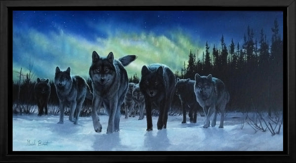 Borealis – Wolves and the Northern Lights