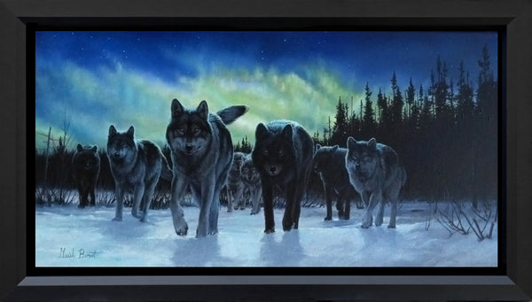 Borealis – Wolves and the Northern Lights