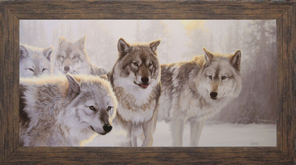 Brume hivernale – Loups gris