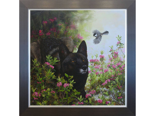 Como, l’Ange-loup