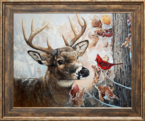 Confidences – Cerf de Virginie et cardinal