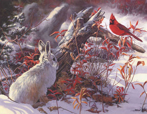 Giclée sur feuille, reproduction haut de gamme de l’œuvre originale de Monique Benoit peintre animalière, naturaliste, galerie d’art, Centre Monique et Gisèle Benoit, Sainte-Anne-des-Monts, Gaspésie, art animalier, musée, exposition, peintures, cadres. Lièvre variable, cardinal, oiseau, scène d'hiver.