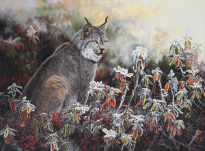 Giclée sur toile, reproduction haut de gamme de l’œuvre originale de Gisèle Benoit peintre animalière et naturaliste, galerie d’art, Centre Monique et Gisèle Benoit, Sainte-Anne-des-Monts, Gaspésie, art animalier, musée, exposition, peintures, cadres. Lynx du Canada, prédateur, félin, scène d'automne.