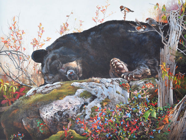 Giclée sur toile, reproduction haut de gamme de l’œuvre originale de Monique Benoit peintre animalière, naturaliste, galerie d’art, Centre Monique et Gisèle Benoit, Sainte-Anne-des-Monts, Gaspésie, art animalier, musée, exposition, peintures, cadres. Ours noir, prédateur, mésanges à tête brune, oiseaux, scène d'automne.