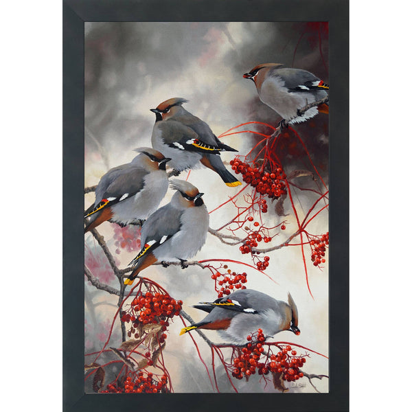 Festin au sorbier –  Jaseurs boréaux