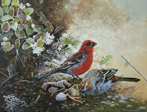 Tableau original de Monique Benoit peintre animalière et naturaliste, huile sur toile, scène de la faune canadienne, galerie d’art, Centre Monique et Gisèle Benoit, Sainte-Anne-des-Monts, Gaspésie, art animalier, musée, exposition, peintures, cadres. Durbecs des sapins, oiseaux, scène de printemps, fleurs sauvages.