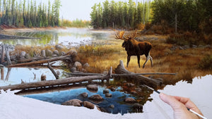 Tableau original de Gisèle Benoit peintre animalière,naturaliste, huile sur toile, scène de la faune canadienne, galerie d’art, Centre Monique et Gisèle Benoit, Sainte-Anne-des-Monts, Gaspésie, art animalier, musée, exposition, peintures, cadres. Orignal, cervidé, scène d'été, paysage.