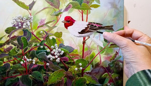 Tableau original de Gisèle Benoit peintre animalière,naturaliste, huile sur toile, scène de la faune canadienne, galerie d’art, Centre Monique et Gisèle Benoit, Sainte-Anne-des-Monts, Gaspésie, art animalier, musée, exposition, peintures, cadres. Oiseau, scène d'automne, paysage.