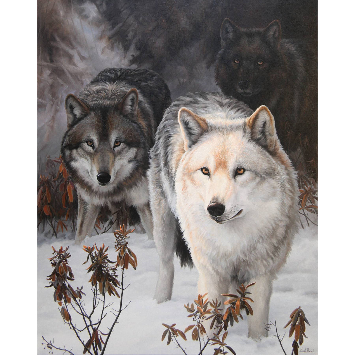 The Pathfinders – Grey Wolves – Société Art et Science pour la Nature