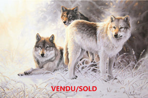 Tableau original de Gisèle Benoit peintre animalière,naturaliste, huile sur toile, scène de la faune canadienne, galerie d’art, Centre Monique et Gisèle Benoit, Sainte-Anne-des-Monts, Gaspésie, art animalier, musée, exposition, peintures, cadres. Loups gris, scène d'hiver, prédateurs.