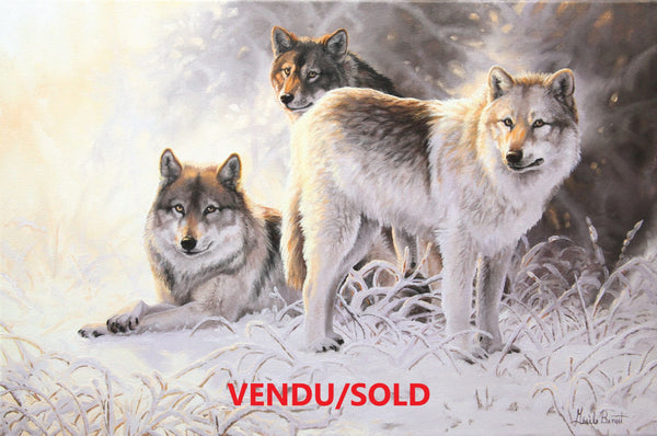 Tableau original de Gisèle Benoit peintre animalière,naturaliste, huile sur toile, scène de la faune canadienne, galerie d’art, Centre Monique et Gisèle Benoit, Sainte-Anne-des-Monts, Gaspésie, art animalier, musée, exposition, peintures, cadres. Loups gris, scène d'hiver, prédateurs.