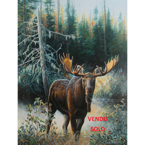 Tableau original de Gisèle Benoit peintre animalière et naturaliste, huile sur toile, scène de la faune canadienne, galerie d’art, Centre Monique et Gisèle Benoit, Sainte-Anne-des-Monts, Gaspésie, art animalier, musée, exposition, peintures, cadres. Scène d'automne, orignal, cervidé.