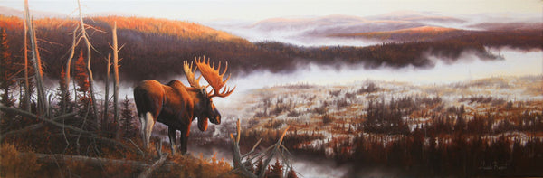 Tableau original de Gisèle Benoit peintre animalière,naturaliste, huile sur toile, scène de la faune canadienne, galerie d’art, Centre Monique et Gisèle Benoit, Sainte-Anne-des-Monts, Gaspésie, art animalier, musée, exposition, peintures, cadres. Orignal, cervidé, scène d'automne, paysage.